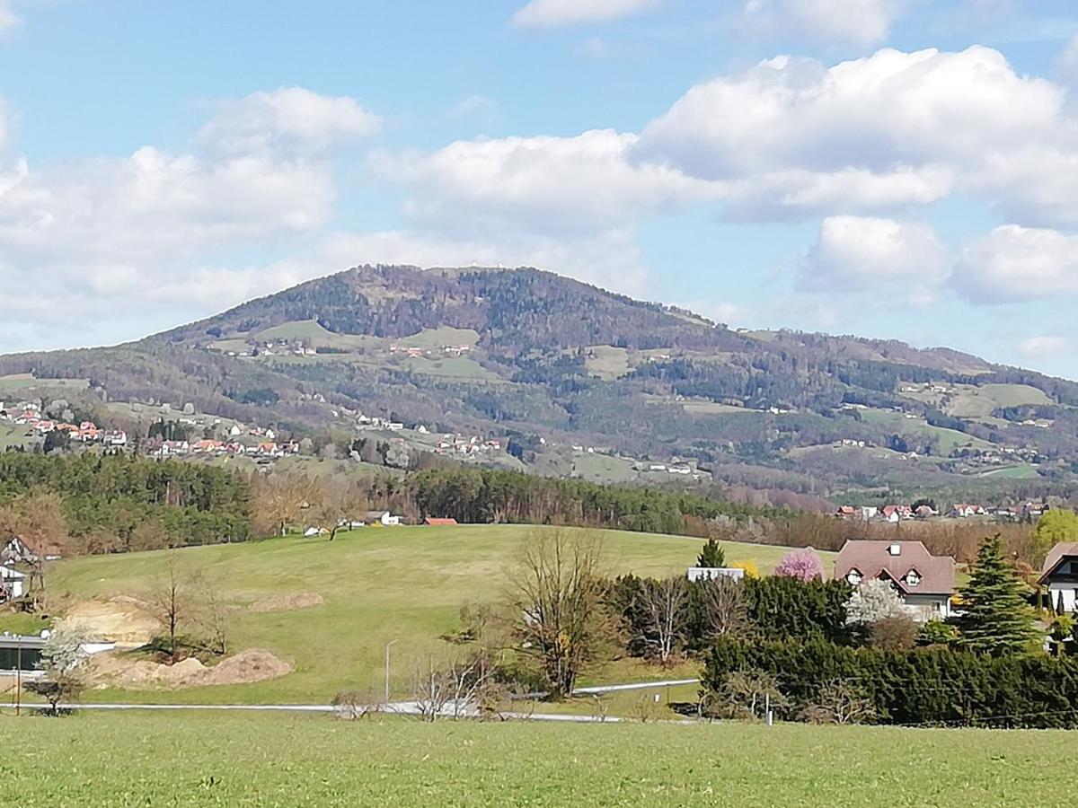 Ferienwohnung Wachmann Rohrbach am Kulm Bilik gambar