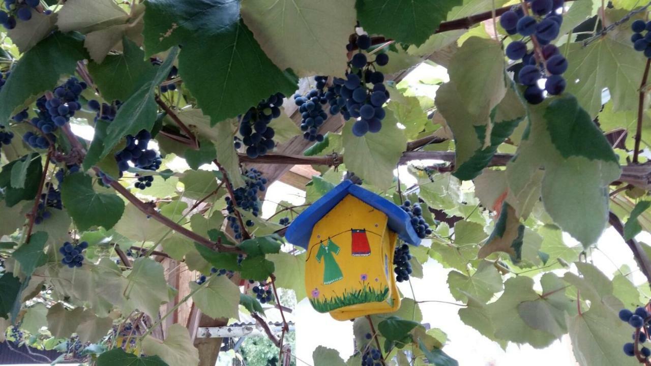 Ferienwohnung Wachmann Rohrbach am Kulm Luaran gambar
